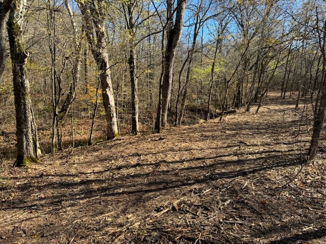 535 Goodman Branch Road Hohenwald, TN 38462 - Photo 22 of 28 Gallery Image 22
