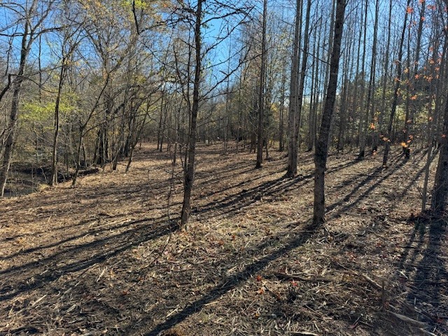 535 Goodman Branch Road Hohenwald, TN 38462 - Photo 23 of 28 Gallery Image 23