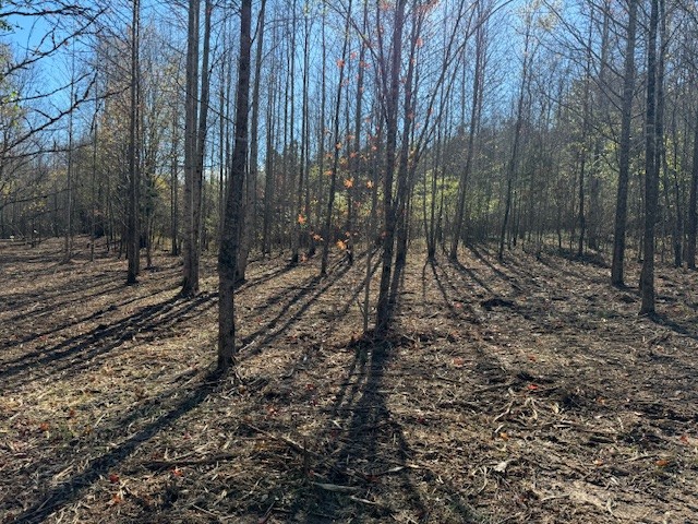 535 Goodman Branch Road Hohenwald, TN 38462 - Photo 24 of 28 Gallery Image 24