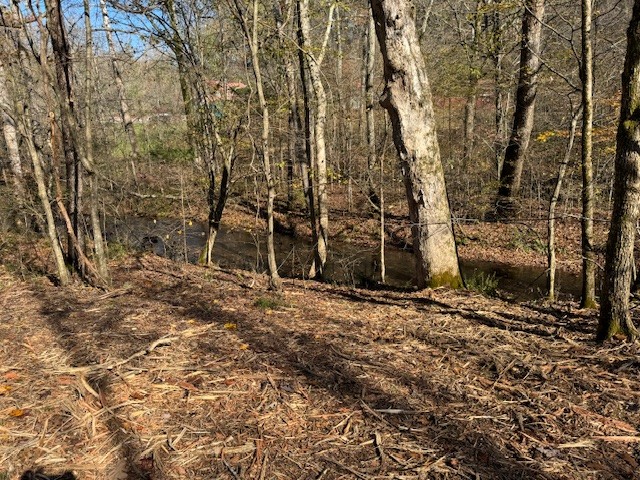 535 Goodman Branch Road Hohenwald, TN 38462 - Photo 26 of 28 Gallery Image 26