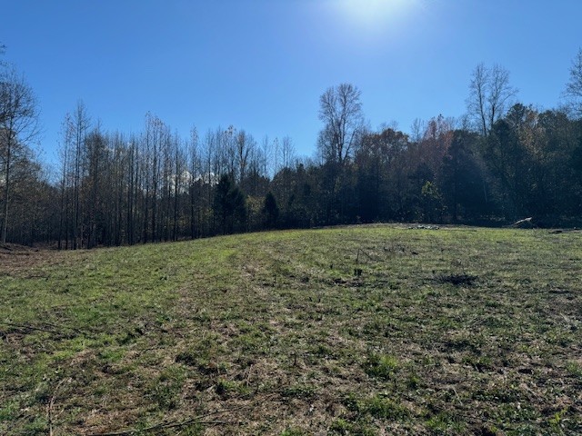 535 Goodman Branch Road Hohenwald, TN 38462 - Photo 27 of 28 Gallery Image 27