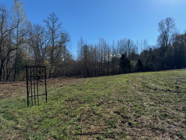 535 Goodman Branch Road Hohenwald, TN 38462 - Photo 28 of 28 Gallery Image 28