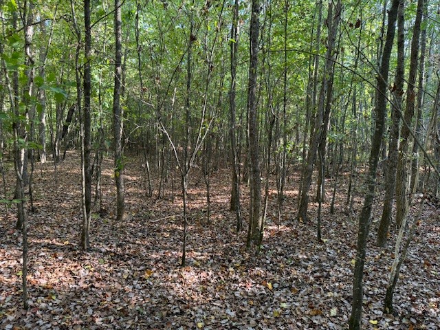 535 Goodman Branch Road Hohenwald, TN 38462 - Photo 9 of 28 Gallery Image 9
