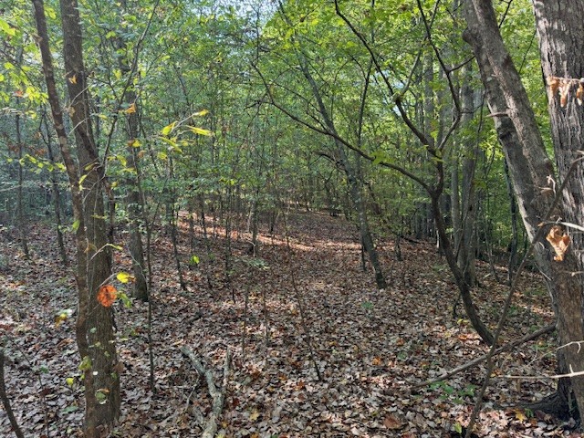 535 Goodman Branch Road Hohenwald, TN 38462 - Photo 10 of 28 Gallery Image 10