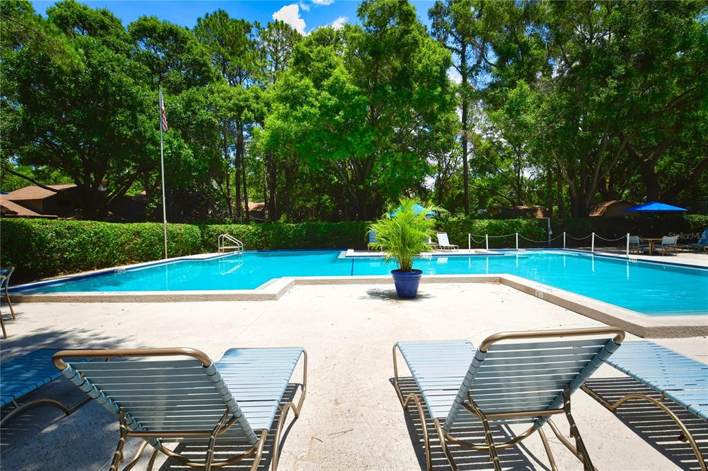 11711 Ridgeview Lane Seminole, FL 33772 - Photo 15 of 30