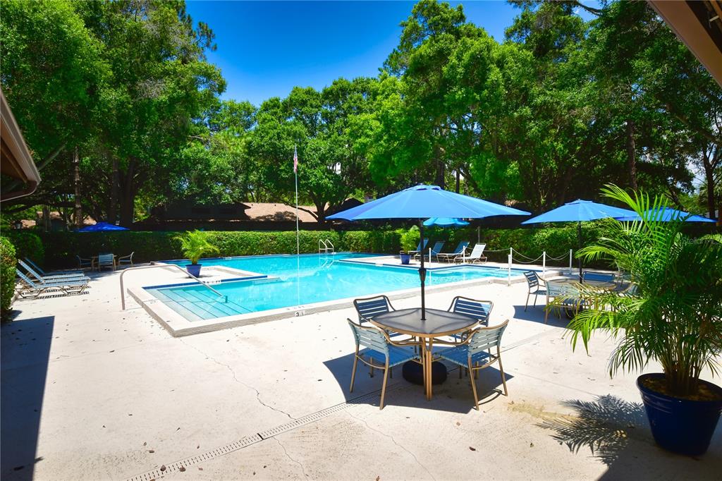 11711 Ridgeview Lane Seminole, FL 33772 - Photo 17 of 30 a view of backyard with outdoor seating and trees