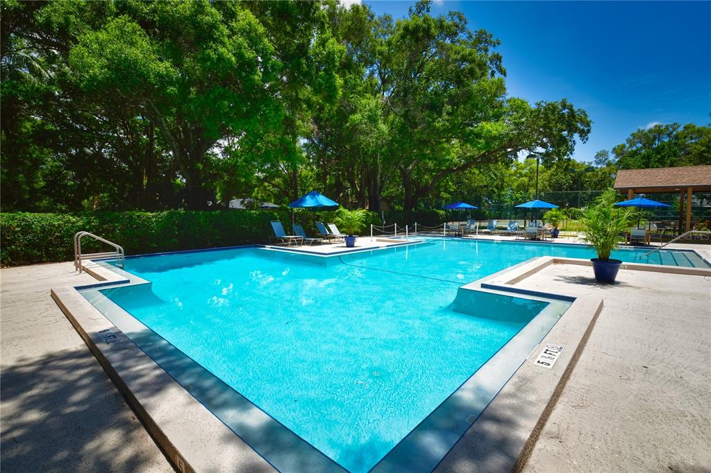 11711 Ridgeview Lane Seminole, FL 33772 - Photo 23 of 30 a view of a backyard with swimming pool