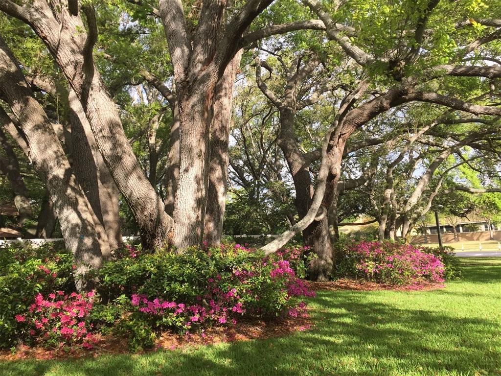 11711 Ridgeview Lane Seminole, FL 33772 - Photo 27 of 30