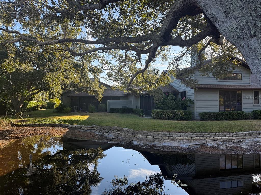 11711 Ridgeview Lane Seminole, FL 33772 - Photo 29 of 30 a view of a backyard with large trees