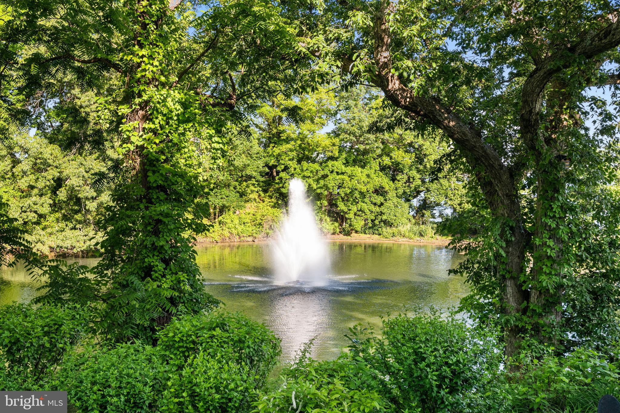 2045 Maidstone Farm Road Annapolis, MD 21409 - Photo 13 of 50 View of pond and fountain
