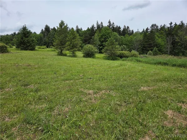 $59,900 | 548 Hardy Corners Road, Farmersville, NY 14737