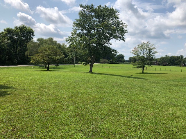 3270 Ott Wilson Road Springfield, TN 37172 - Photo 3 of 7 a view of field with grass and trees