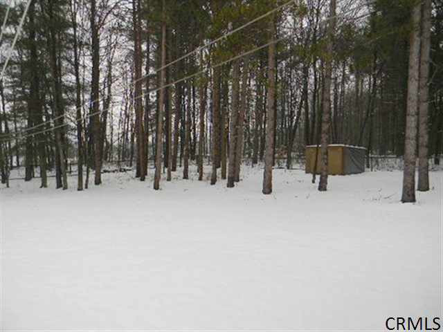 3020 Thousand Acres Road Delanson, NY 12053 - Photo 13 of 14 Photo 13