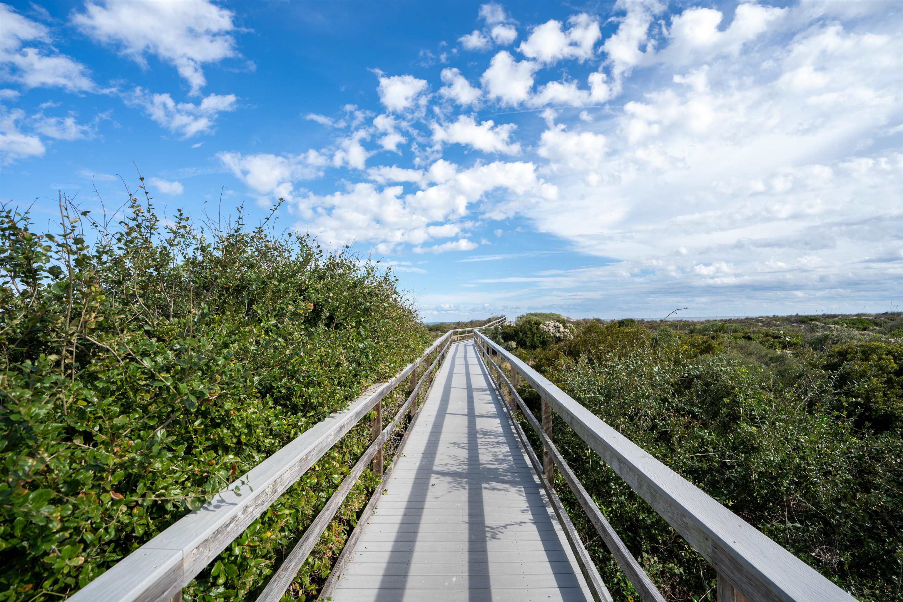 23 Oceanside Circle St. Augustine, FL 32080 - Photo 19 of 22 a view of balcony with lots of trees
