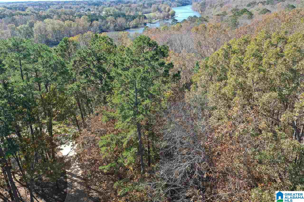 1745 King Mountain Road Gadsden, AL 35901 - Photo 50 of 50