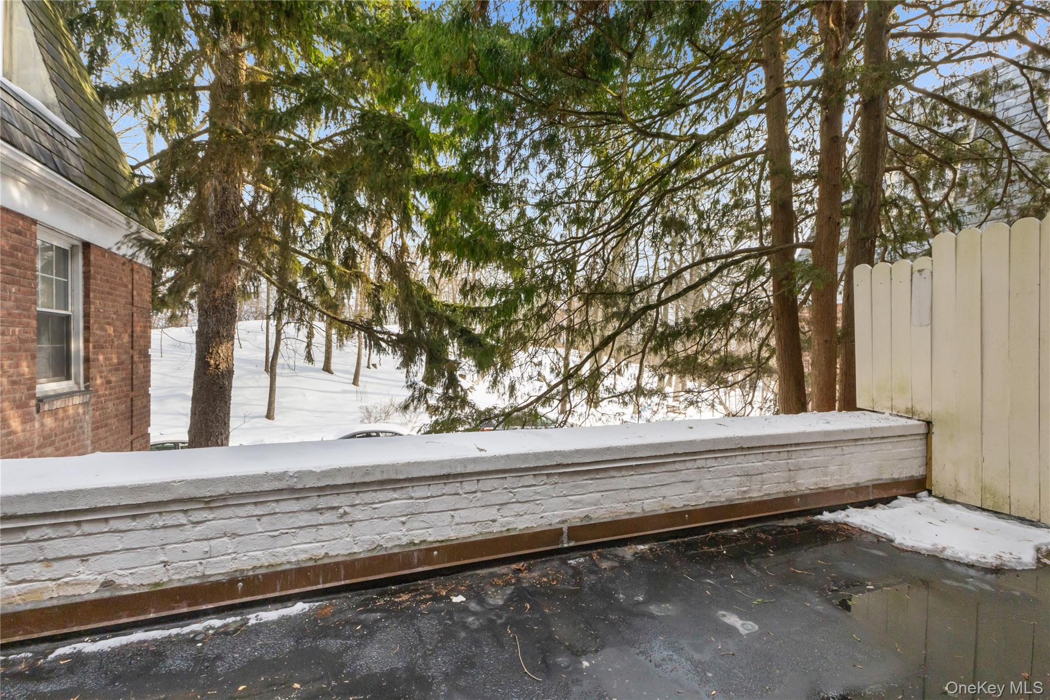 74 Pinewood Road, Unit 2F Hartsdale, NY 10530 - Photo 23 of 29 a view of backyard space and tree