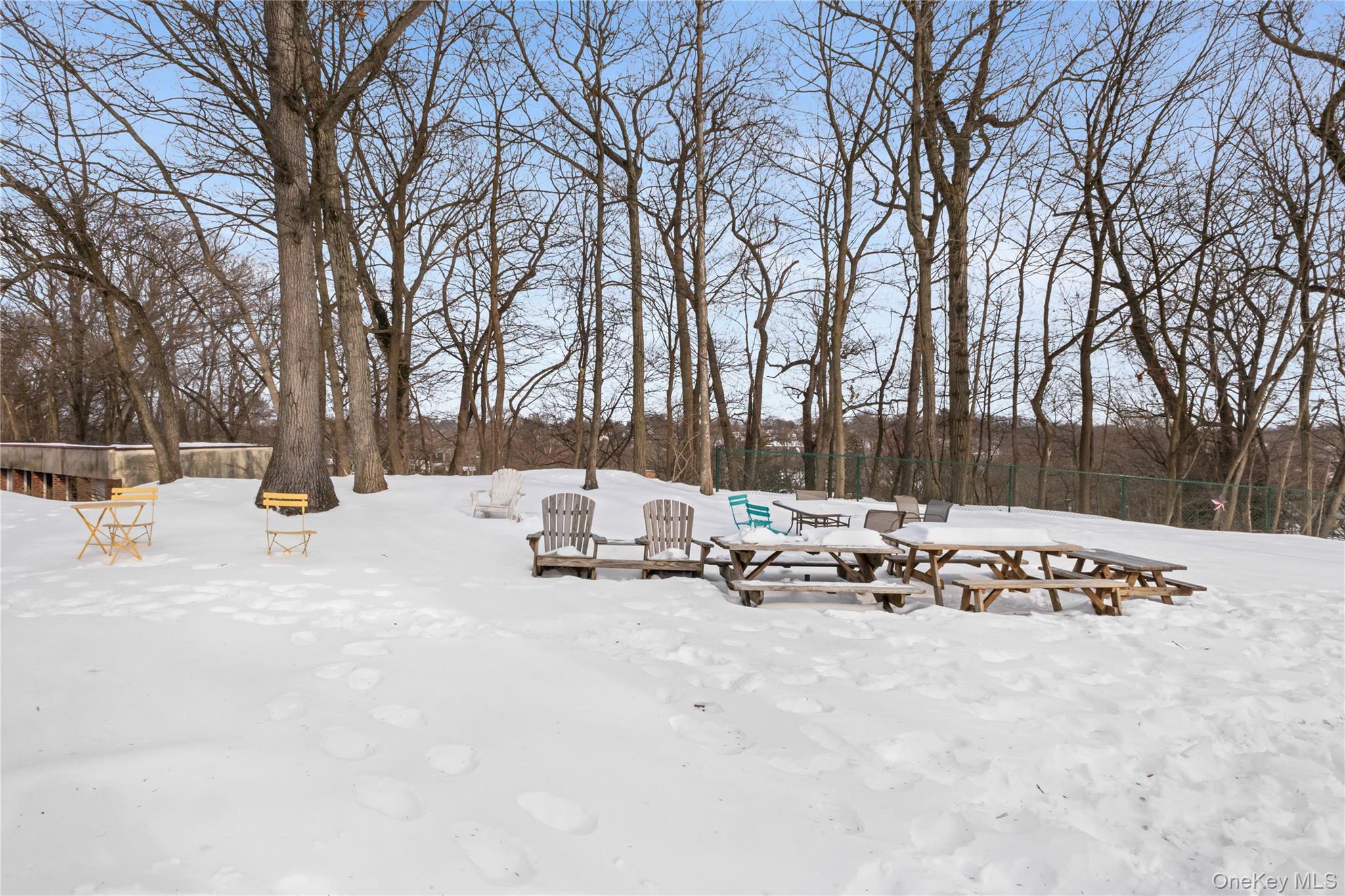 74 Pinewood Road, Unit 2F Hartsdale, NY 10530 - Photo 29 of 29 a view of a park with large trees