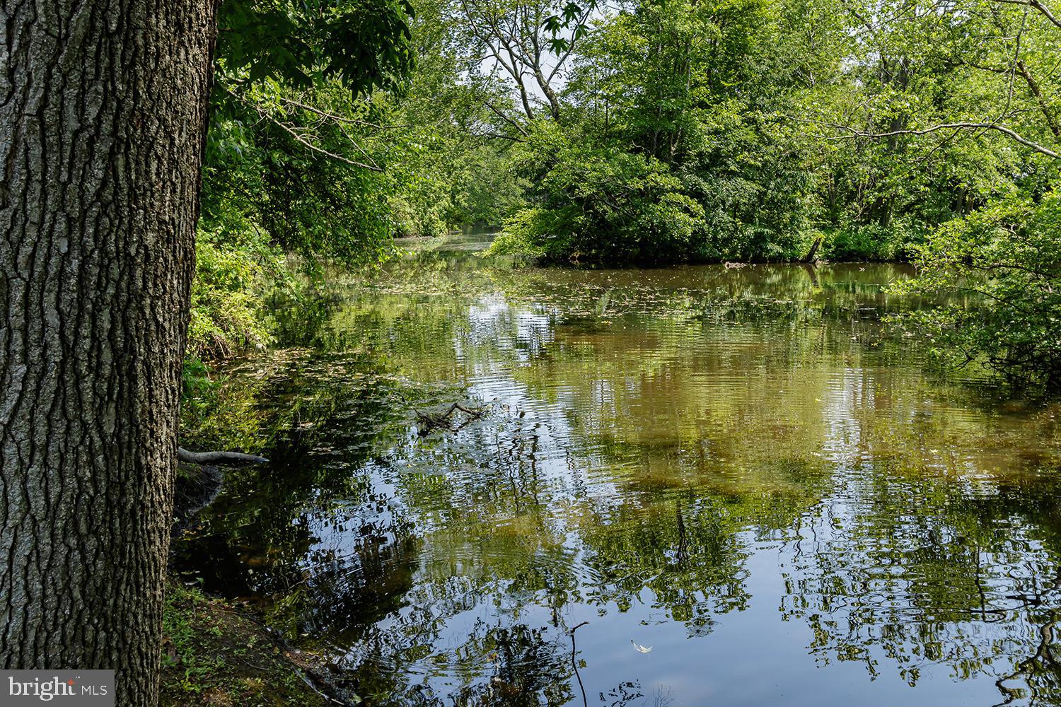 2 Chief Massasoit Medford, NJ 08055 - Photo 26 of 28 Southwest Branch Rancocas Creek Lake