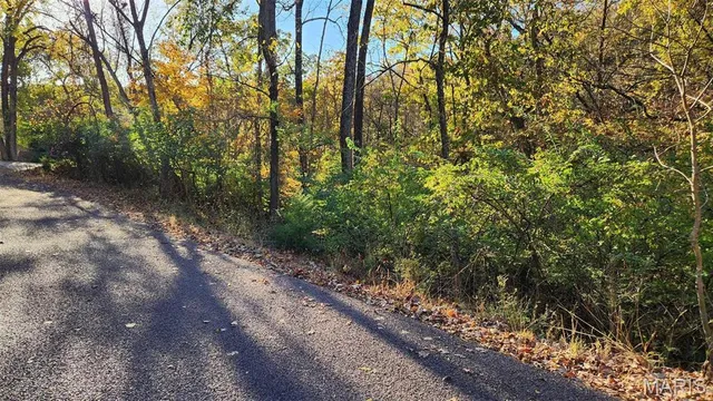 $500 | 818 West Gray Friar, Marthasville, MO 63357