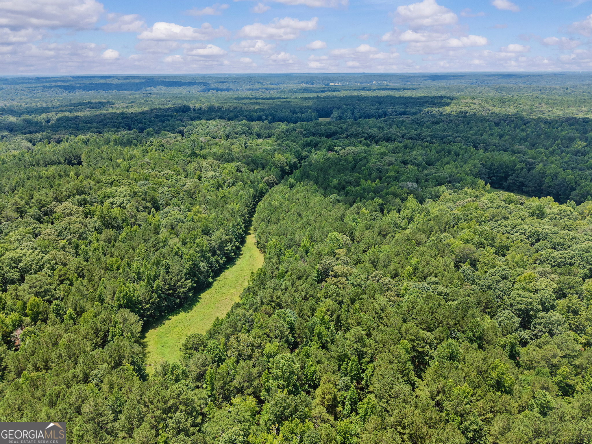 0 Doster Road, Unit 2720 Madison, GA 30650 - Photo 14 of 62 a view of a lush green outdoor space with a lake view