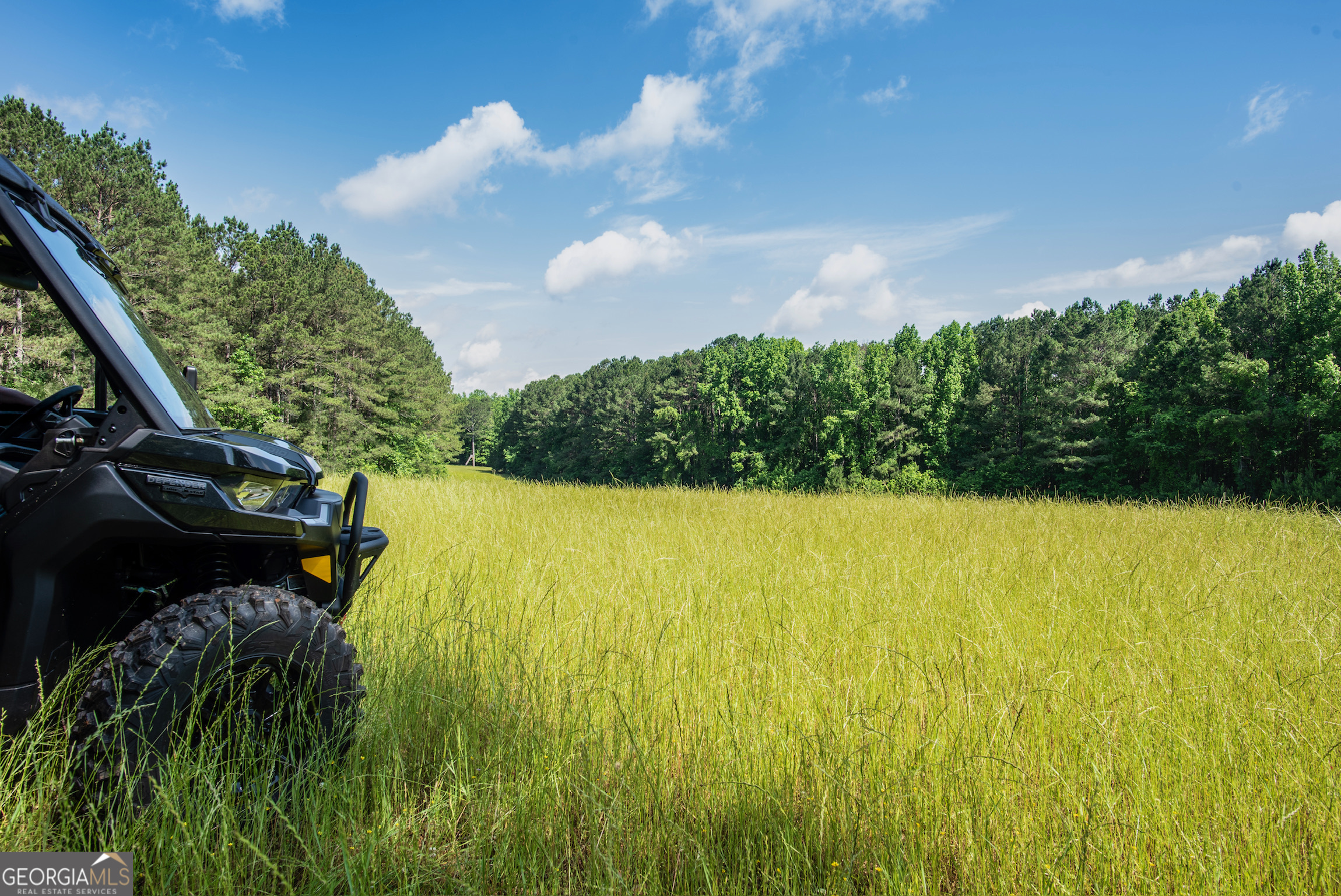 0 Doster Road, Unit 2720 Madison, GA 30650 - Photo 4 of 62 a view of a yard