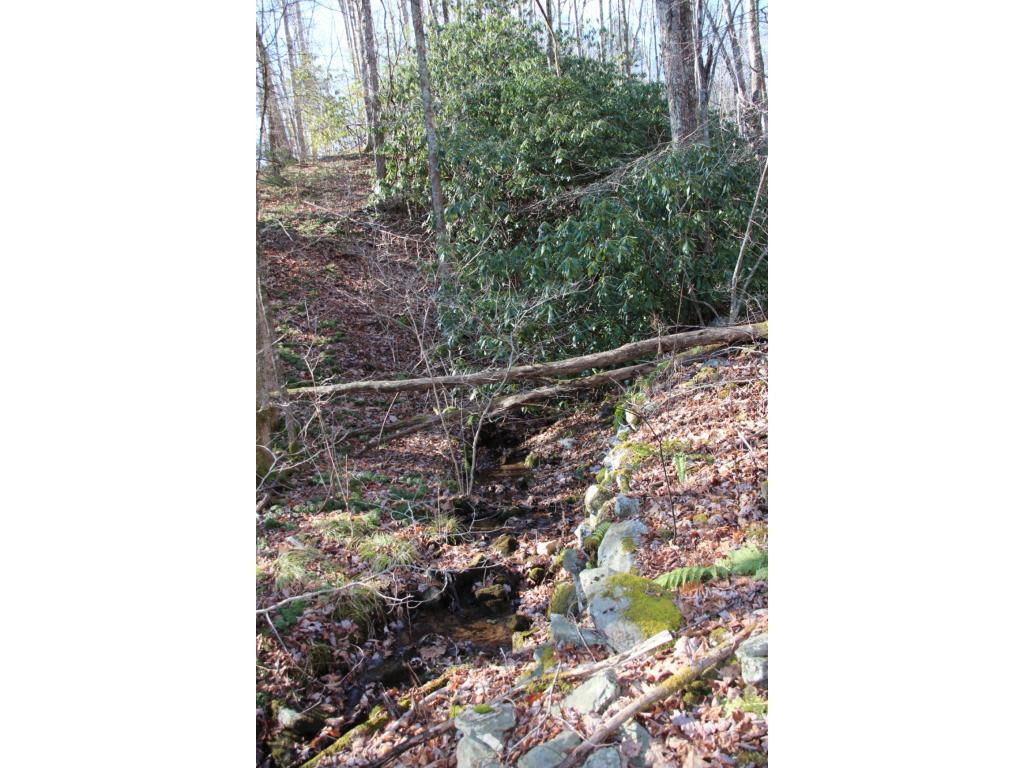 0 Of Grover Reece Trade, TN 37691 - Photo 11 of 16 Photo 11