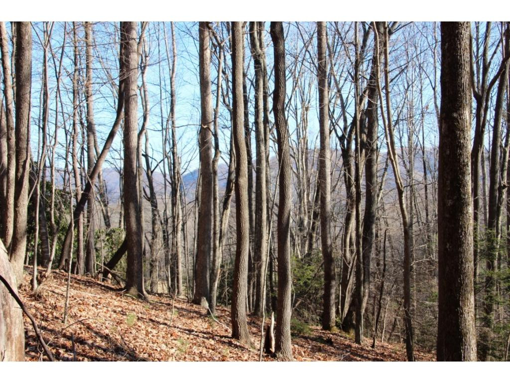 0 Of Grover Reece Trade, TN 37691 - Photo 3 of 16 Photo 3