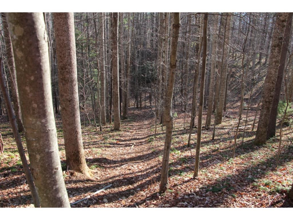 0 Of Grover Reece Trade, TN 37691 - Photo 4 of 16 Photo 4
