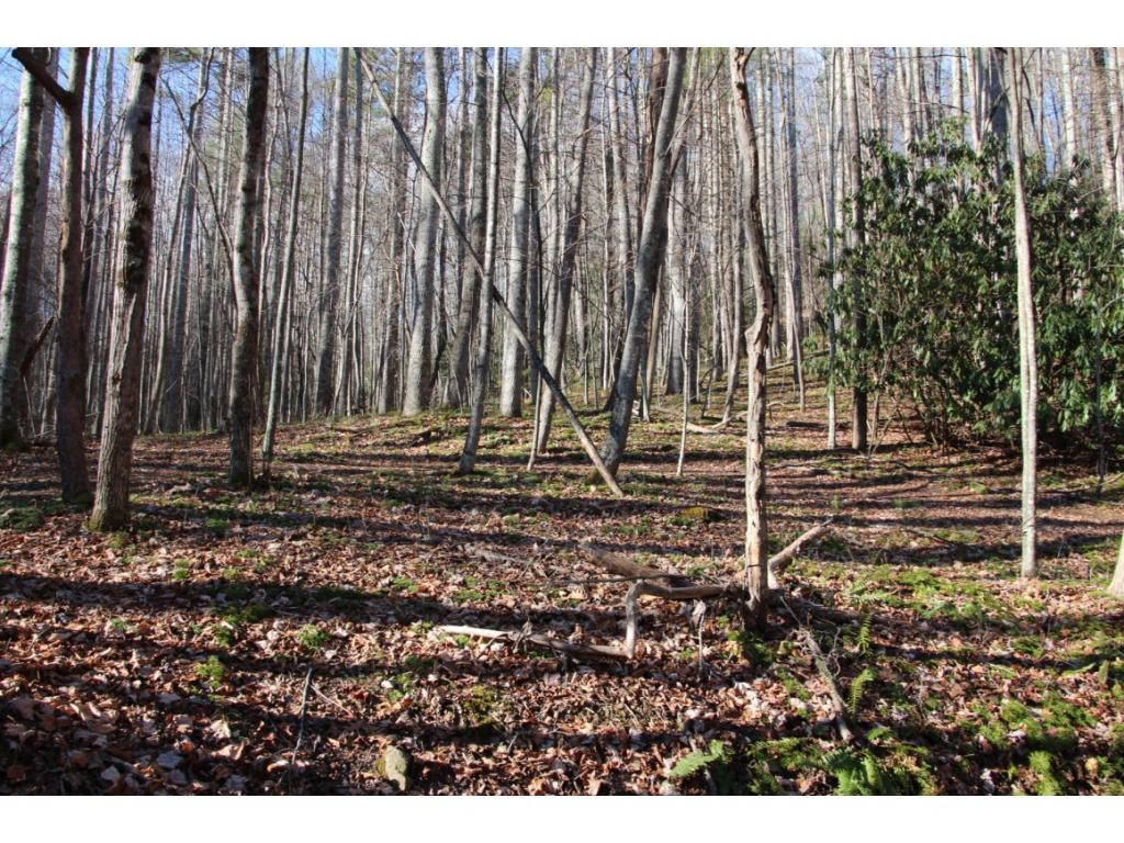 0 Of Grover Reece Trade, TN 37691 - Photo 6 of 16 Photo 6