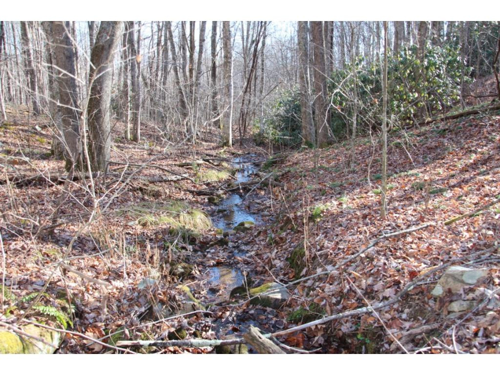 0 Of Grover Reece Trade, TN 37691 - Photo 8 of 16 Photo 8