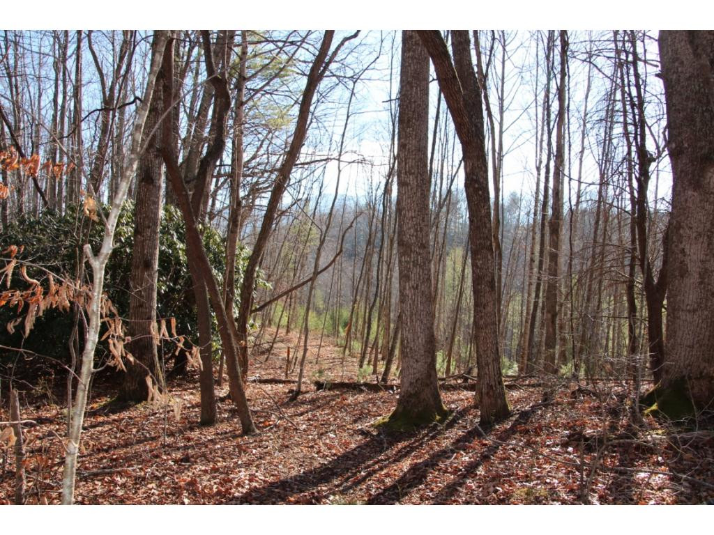 0 Of Grover Reece Trade, TN 37691 - Photo 9 of 16 Photo 9