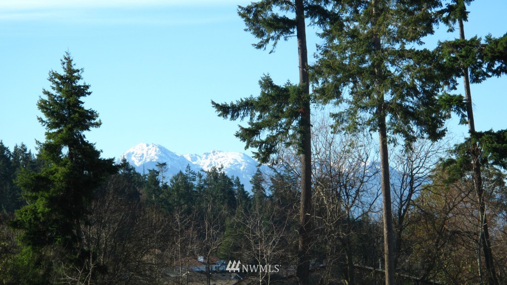 9 Talon Court Sequim, WA 98382 - Photo 2 of 8 Gallery Image 2
