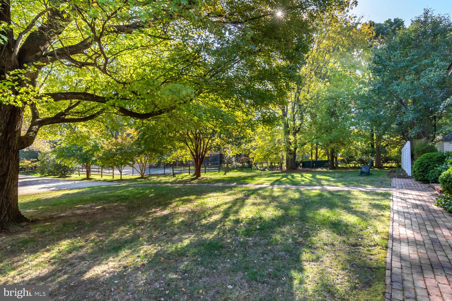 23946 Mt Misery Road St. Michaels, MD 21663 - Photo 11 of 59 Gallery Image 11