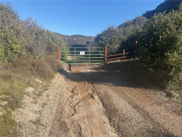 a view of street with view of trees