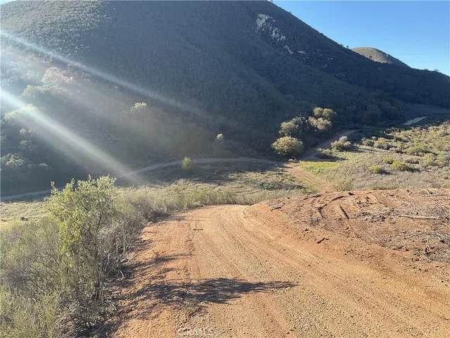 a view of a dry yard