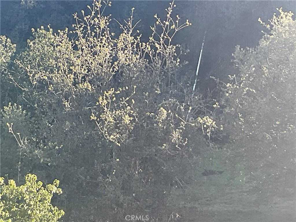 67034 Paulsen Road King City, CA 93930 - Photo 2 of 26