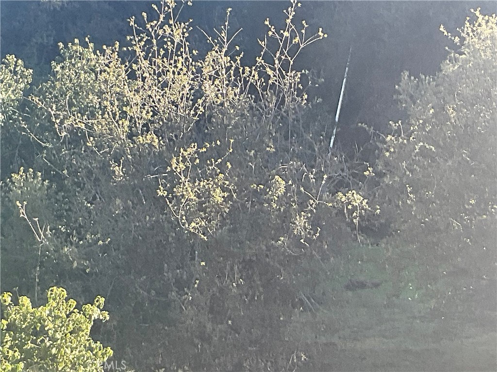 67034 Paulsen Road King City, CA 93930 - Photo 3 of 26