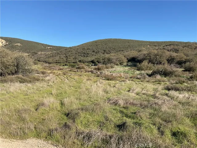 a view of a mountain in the distance in a field