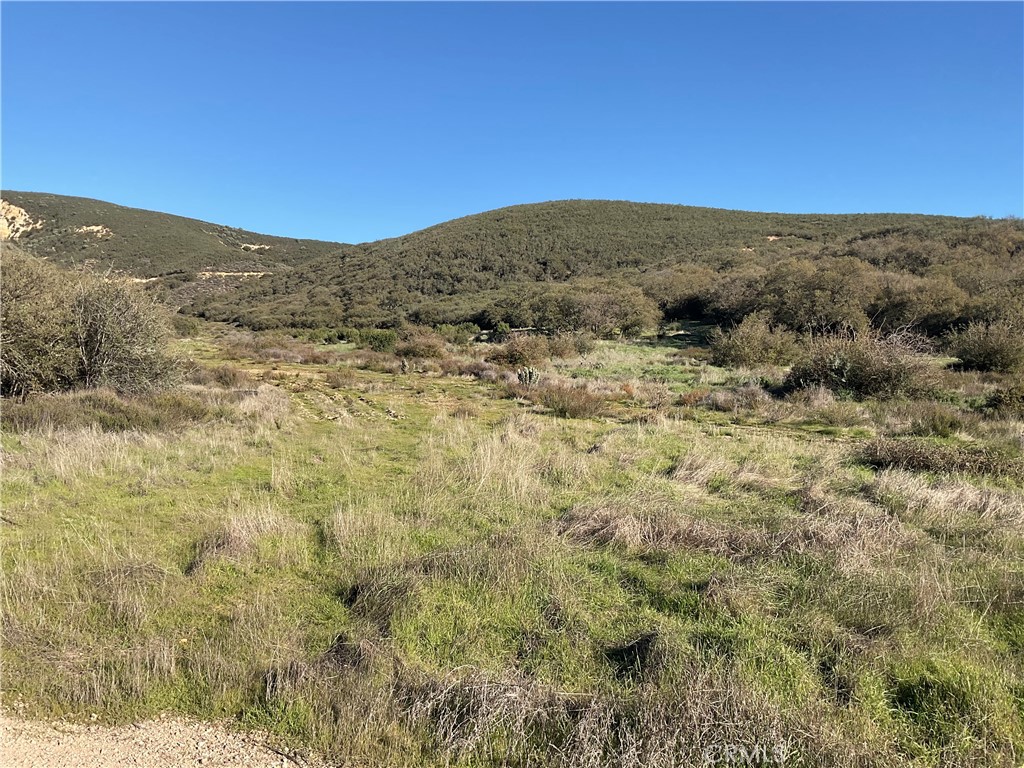 67034 Paulsen Road King City, CA 93930 - Photo 5 of 26