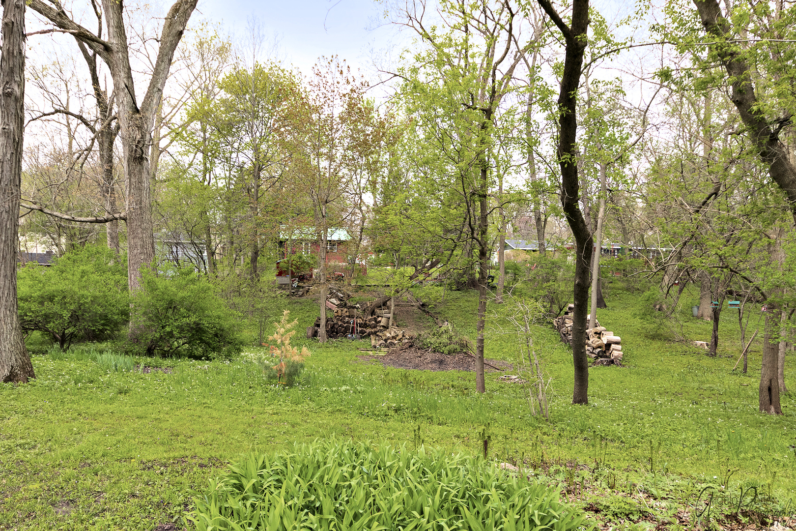 38433 North 3rd Avenue Spring Grove, IL 60081 - Photo 30 of 33 Gallery Image 30
