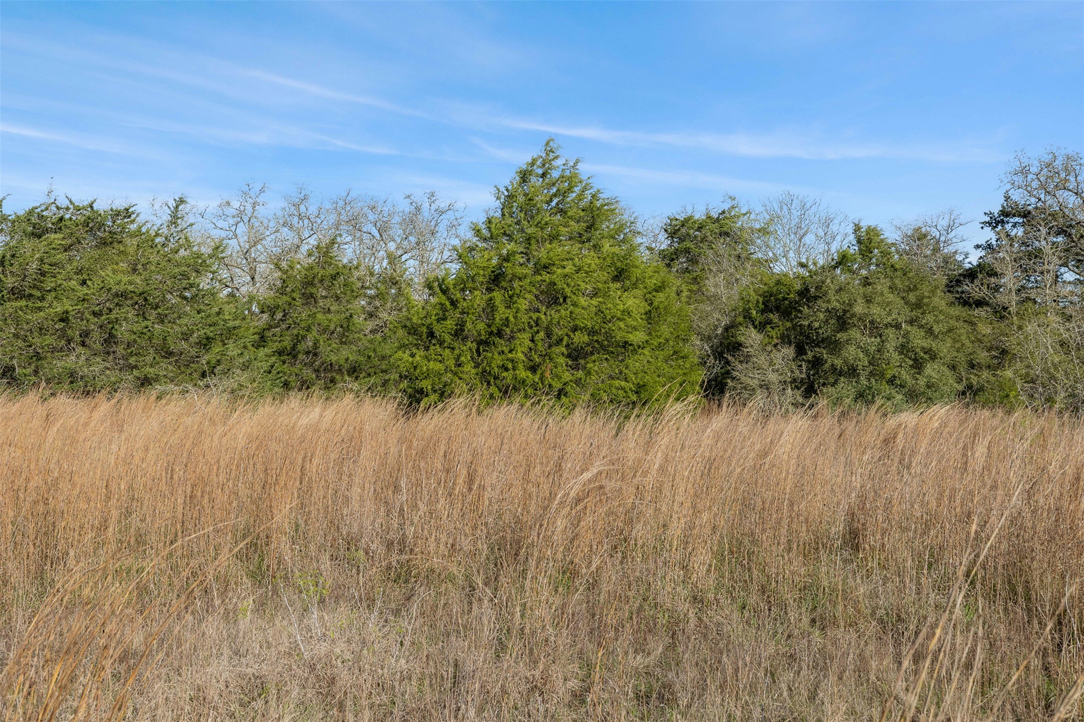 6735 Old Smithville Road Flatonia, TX 78941 - Photo 17 of 40