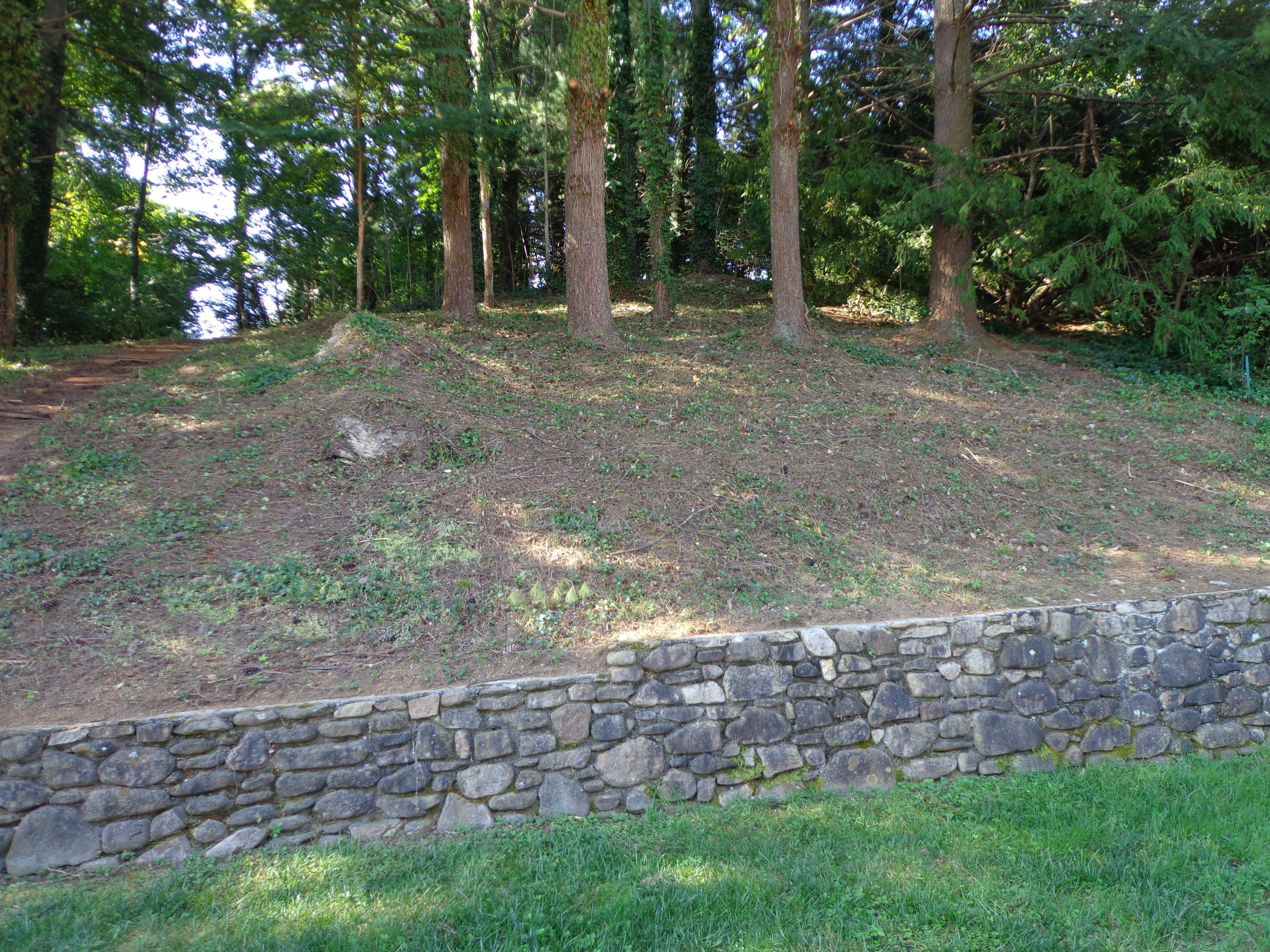 308 Highfield Road Salem, VA 24153 - Photo 28 of 31 DSC07431