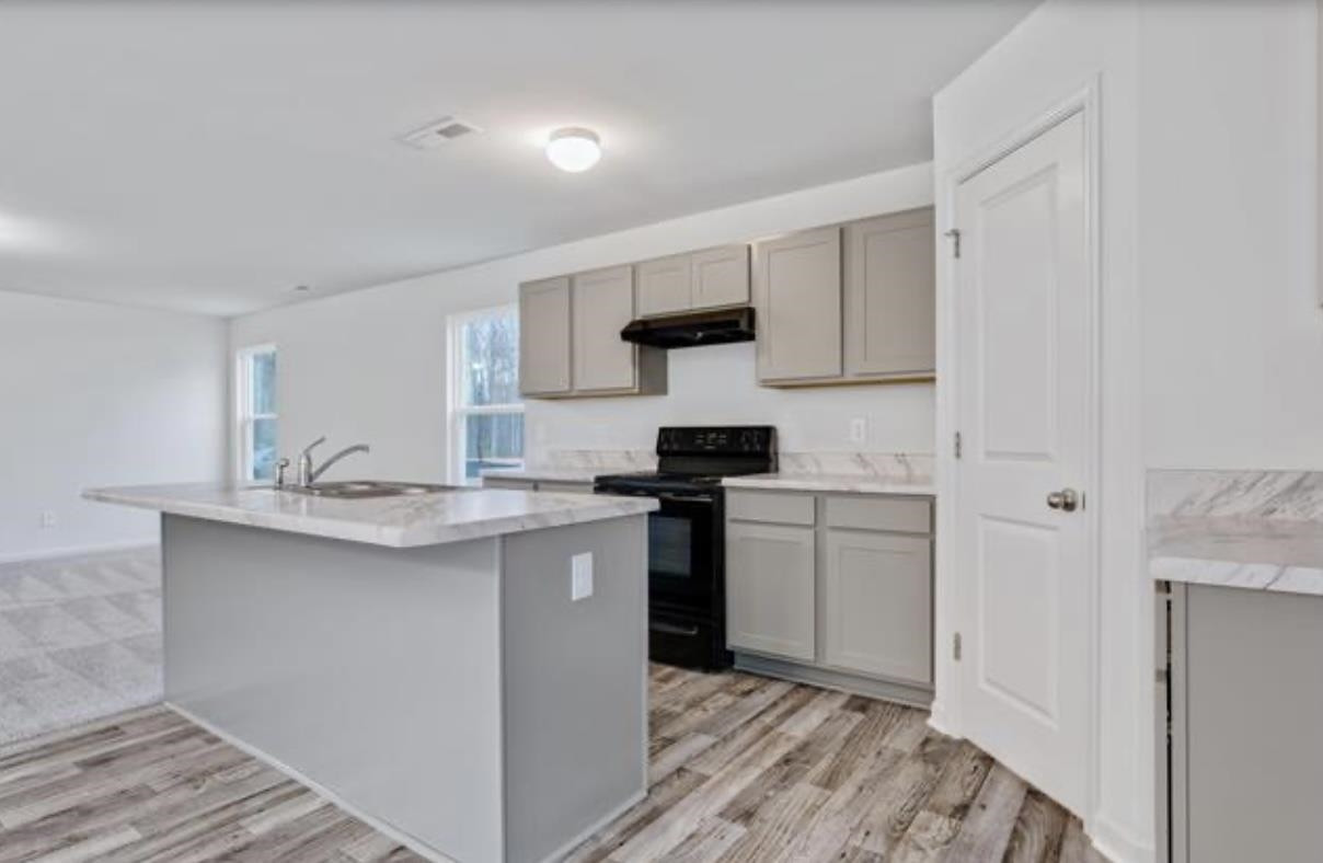 162 Yellowwood Ave Spring Spring Hope, NC 27882 - Photo 5 of 17 Photo 5