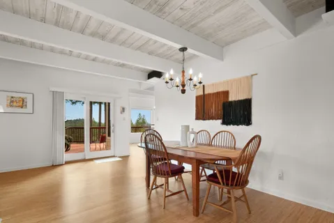 a potted plant sitting in front of a house