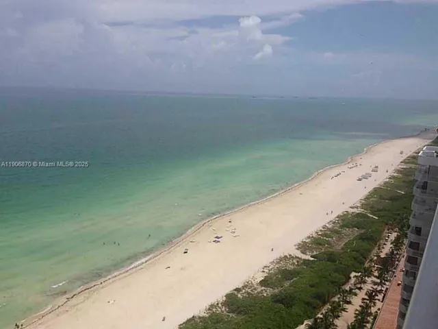 a view of a dry yard