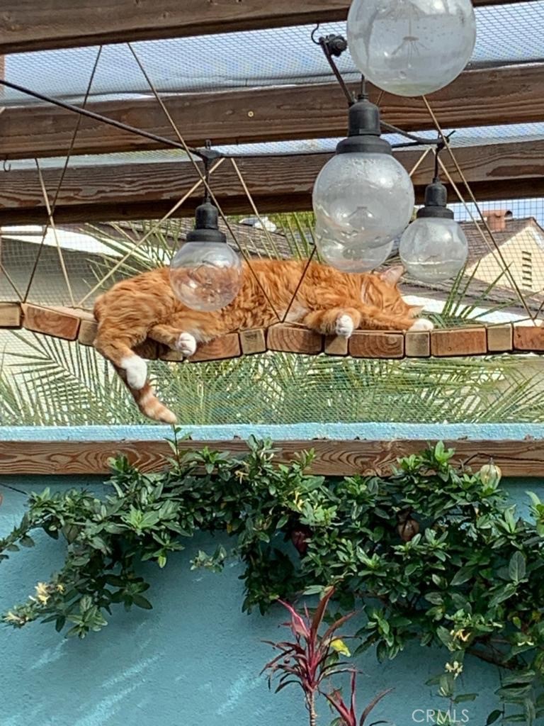 3432 Roxanne Avenue Long Beach, CA 90808 - Photo 35 of 41 a view of a backyard