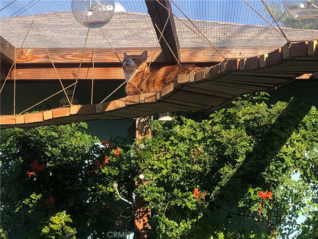 3432 Roxanne Avenue Long Beach, CA 90808 - Photo 36 of 41 a view of a backyard