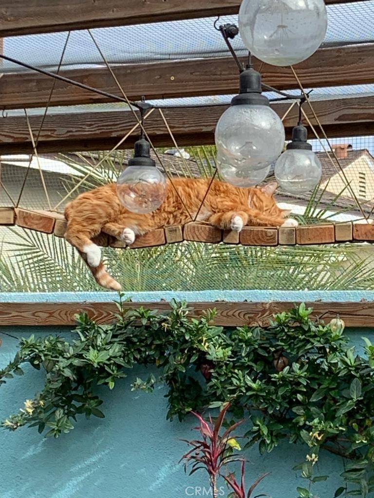 3432 Roxanne Avenue Long Beach, CA 90808 - Photo 37 of 41 a view of a backyard