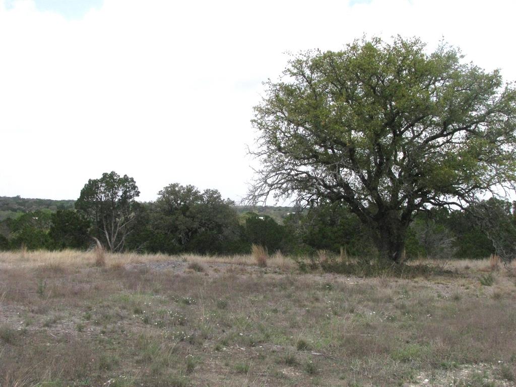 Lot 16-ph Private Road Evant, TX 76525 - Photo 14 of 23 a view of a forest with trees in the background