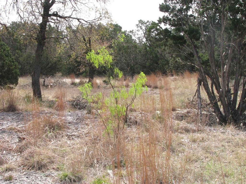Lot 16-ph Private Road Evant, TX 76525 - Photo 17 of 23 a view of a yard with trees